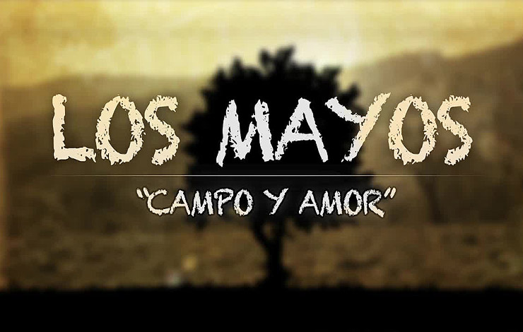 Comunidad campesina del Maule protagoniza serie de televisión