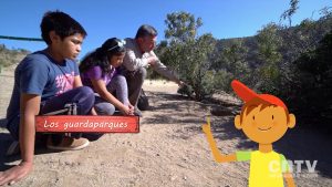 capsulaguardaparques