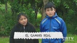 elcaminodelreal