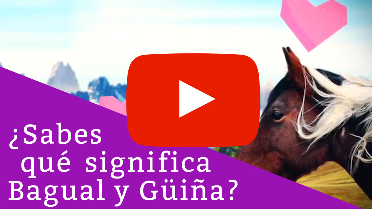 Bagual y Güiña